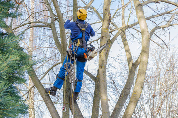 Soil Testing and Treatment in Bradford Woods, PA